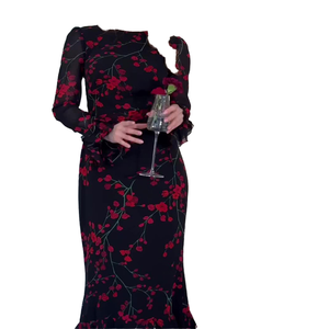 Vestido de Fiesta Elegante de Manga Larga con Estampado y Falda Larga, Nuevo Estilo Sexy de Primavera/Verano con Cierre de Botones y Cordones, Corte Ajustado - Product Image 4