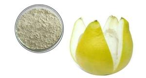 Échantillon gratuit Extrait d'agrumes Poudre de naringénine Édulcorant Renforceur Naringénine CAS 480 - Product Image 2