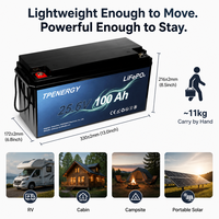 TPENERGY Baterai Lithium LiFePO4 Ringan 12V 24V 100Ah 200Ah 300Ah untuk Sistem Tenaga Surya Rumah Tangga, Penyimpanan Off-Grid dengan BMS untuk RV