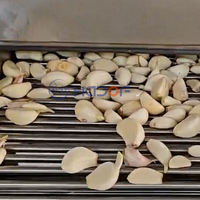 Automatische knoflookpelschilmachine voor knoflookverwerkingsbedrijven