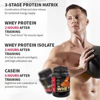 Protéine Isolat de Lactosérum en Poudre Standard Diamant pour la Nutrition Diététique en Gros, pour la Musculation Adulte avec 20-29g de Protéines