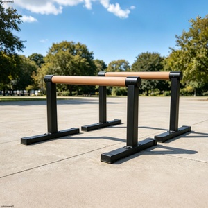 Barras <span class=keywords><strong>Paralelas</strong></span> Portátiles de Calidad Comercial a Precio Económico para Flexiones y <span class=keywords><strong>Calistenia</strong></span>, para Uso en Gimnasios Domésticos - Product Image 1