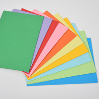 Feuilles d'emballage de bouquet de fleurs de fleuriste de couleur unie pure imperméable papier d'emballage de fleurs coréennes en plastique