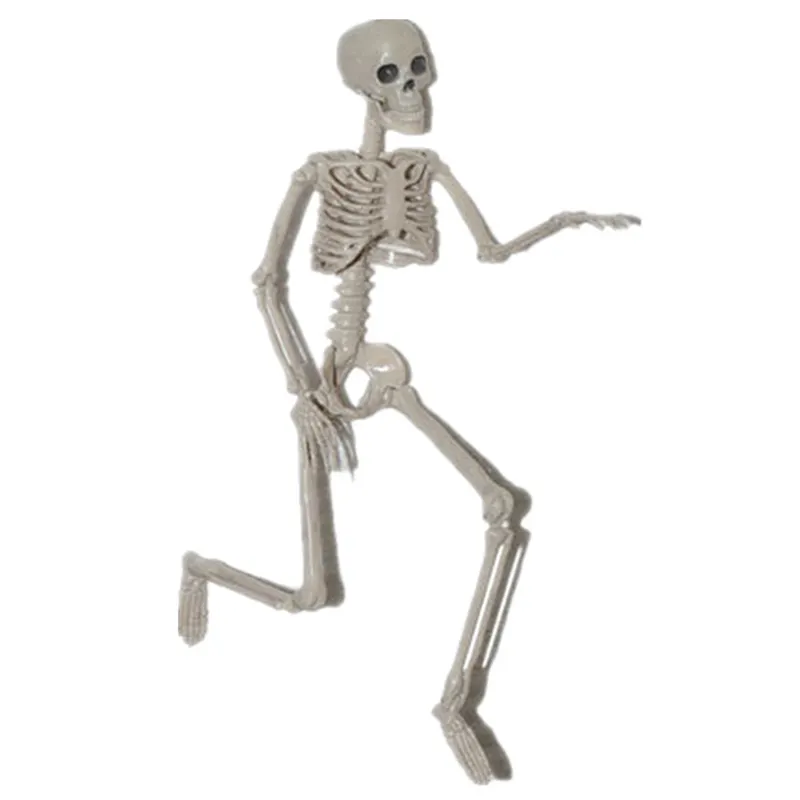 移動可能なフルサイズの人間の骨格の小道具ハロウィーンのパーティーの装飾プラスチックの人間のハロウィーンの骨格