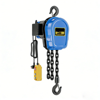 Palans électriques à chaîne de 5 tonnes, palans de levage électriques à haute efficacité 220V/380V avec télécommande pour la construction