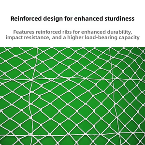 Cheap Price Ready to Ship <strong>Factory</strong> Supply Protective <strong>Netting</strong> High Strength Fall Arrest Construction Safety <strong>Netting</strong> - Product Image 4