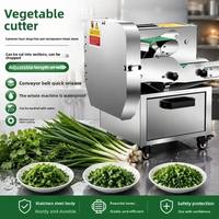Elektrische commerciële multifunctionele snij- en raspmachine voor gember, cassave, koriander, plantain, aardappelchips en wortel