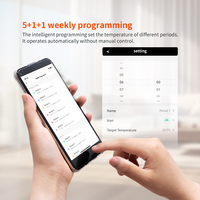 Elektrikli ısıtıcı radyatör akıllı Wifi programlanabilir LED Plug-In termostat