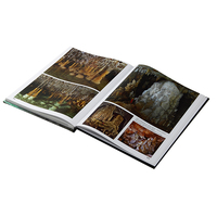 Fabricante personalizado Tapa dura imagen/foto álbum libro de impresión