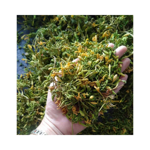 Fleur de papaye mâle séchée écologique, ingrédient à base de plantes traditionnel - Product Image 6