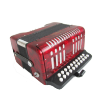 Accordion 8 Bass 21 Keys Keyboard Instruments
