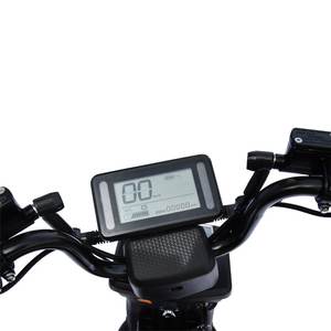 Trottinette électrique RACCEWAY PAREZ 40 homologuée CEE, moteur 1 000 W et vitesse maximale de 38 km/h, entrepôt UE - Product Image 4