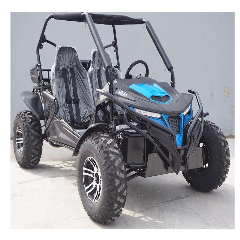 Gas Powered Dune Buggies For Kids Sand Dunes Sand Rail Go Kart