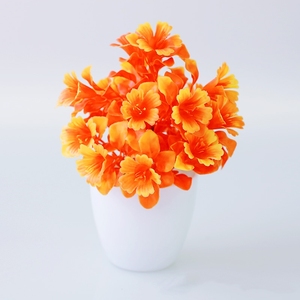 Yopin-2329 - Product Image 3