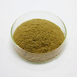 ผู้ผลิตราคาต่ำสารสกัดจากพืชอื่นๆEucommia UlraidesเปลือกของEucommia - Product Image 5