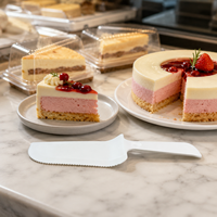 Couteau à gâteau blanc en CPLA, jetable et compostable, spatule à dessert de qualité alimentaire, couleur personnalisée, OEM