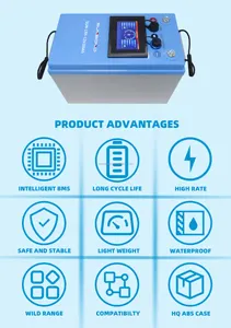 Batteria al litio ricaricabile LiFePO4 12V 100ah 200Ah 250Ah per sistemi di accumulo di energia solare pacchi batteria li ion RV golf cart