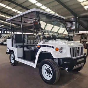 Carrito de Golf Eléctrico Todoterreno con Capacidad para 5/8 Pasajeros, Buggy Scooter con Batería de Plomo-Ácido, 60 km/h, Metal, Acero, Plástico, Curtis - Product Image 1