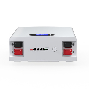 Batterie solaire murale 48V 100ah <span class=keywords><strong>200ah</strong></span> batterie au lithium LFPWall pour batterie au lithium <span class=keywords><strong>powerbank</strong></span> - Product Image 2