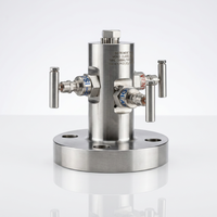 Vannes de blocage et de purge industrielles en acier inoxydable 316, 10000 PSI, 1200F, ignifuges, conformes NACE, corps forgé compact, testées en usine OEM, fournisseur certifié CE