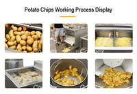 Industriële semi-automatische fritesfriteuse 100-200kg/u voor groente- en fruitverwerking, lage investering, snelle ROI