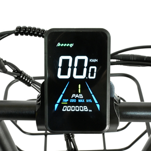 Venta de Fábrica a Bajo Costo, Bicicleta Eléctrica con Batería de Litio de 26, 27.5 y 29 Pulgadas, 1000W 48V EB-C2012, Batería de Litio de 48V 30Ah de Larga Duración - Product Image 1