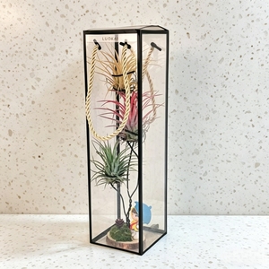 Customizable Printed Recyclable Transparent PET/PP Folding Plastic Packaging <b>Box</b> for Cosmetic <b>Gift</b> Display - Product Image 1