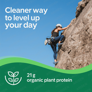 Organik Vegan <span class=keywords><strong>Protein</strong></span> tozu hap kremalı çikolata Fudge 21g bitki proteini 6g prebiyotik lif düşük Net karbonhidrat yok laktoz yok eklenmedi - Product Image 5