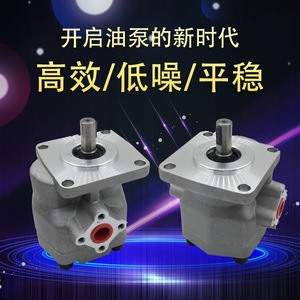 Pompe à engrenages hydraulique Hsin Hung HGP-2AF11R 12R 9R 8 6 5 4 3 2R pour usage industriel - Product Image 4