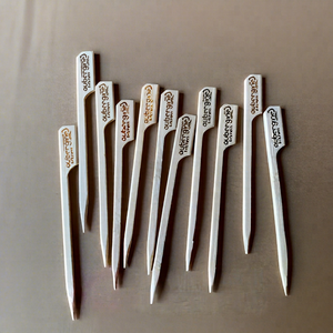 Brochetas Desechables de Bambú Natural, Resistentes al Calor, Ecológicas, para Asar a la Parrilla - Product Image 1