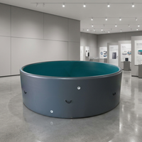 Piscine gonflable ronde en PVC brossé pour la maison et l'extérieur, durable et robuste