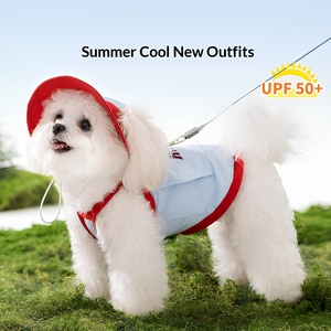 Gilet rafraîchissant et anti-UV pour petits chiens, collection Printemps-Été, respirant, pour l'extérieur, idéal pour Bichon, Teddy, chiot, tenue décontractée - Product Image 1