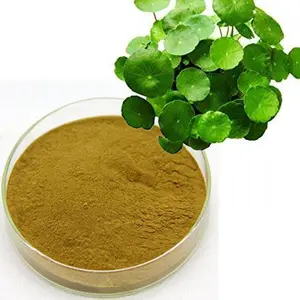 China Leverancier Centella Asiatica Extract Poeder 10% Asiaticosides Poeder