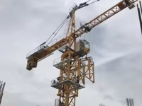 Fournisseur chinois grue à tour QTZ80(5610L-6) 6 tonnes Mobile Mini grue à tour en vente