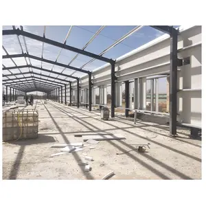 China Director Steel Structure Farm Building Chicken Poultry Shed Hangar Design