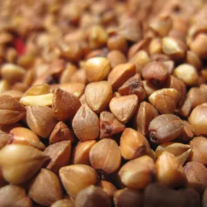 Kernel di grano saraceno cinese in vendita di buona qualità