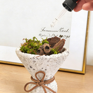 Nordic Forest Volcanic Rock Aroma <b>Diffuser</b> Preserved Moss Dry Plant Scent Oil Kit Mild Long Lasting Bedroom Indoor Air Freshener - Product Image 4