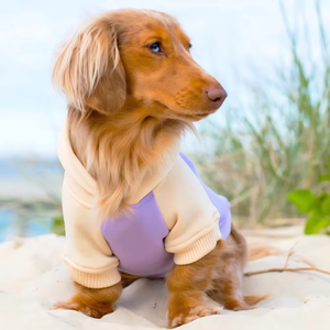 Hoodie Kain Fleece Anjing Dachshund <span class=keywords><strong>Weiner</strong></span> Sausage Berkualitas Grosir untuk Natal - Product Image 2