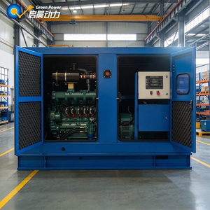 Générateur électrique haute efficacité de 20 kW, 30 kW, 100 kW, 250 kW, 500 kW, 1 MW, alimenté au biogaz et au <span class=keywords><strong>gaz</strong></span> naturel - Product Image 2