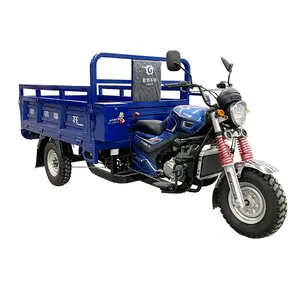 Tricycle motorisé Cargo 200cc pour déchets, capacité de chargement de 500kg