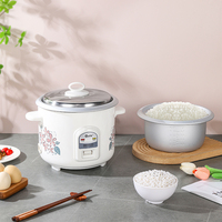 Cuisinière à riz automatique professionnelle en gros avec tasse à mesurer, cuve intérieure en fonte, classe énergétique écoénergétique, petite taille, électrique, modèle national