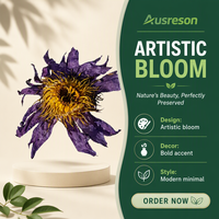 VitaSpring Extrait de Fleur de Lotus Bleue Séchée Naturelle Pure de Haute Qualité en Gros pour la Minceur