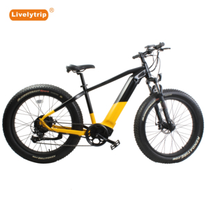 <span class=keywords><strong>2021</strong></span> nouveau Type rapide Dirt Mountain Ebike 750W grand taux moyeu moteur vélos électriques fatbike electrische 60v vélo électrique - Product Image 2