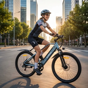 Bicicleta Eléctrica de Montaña de 250W, 26 Pulgadas, HillMiles MileTrail 1, 7 Velocidades, Frenos de Disco, 120km de Autonomía, para Adultos, Disponible en la UE - Product Image 1