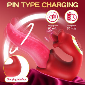 女性向けウェアラブルバイブレーターパンティ 多段階スピード クリトリスバイブレーションマッサージャー USB充電式 オーラルセックス愛好家向け 性交玩具 - Product Image 5