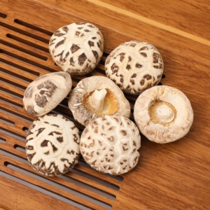 Chất lượng cao <span class=keywords><strong>Shiitake</strong></span> nấm khô và chuyên nghiệp trồng bởi nhà máy tinh tế Nấm - Product Image 5
