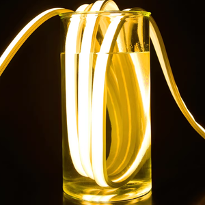 Bande LED néon flexible en silicone 8×13mm DC12V IP65, télécommande USB, intensité réglable, lumière Epistar, certifiée CE RoHS, vente en gros - Product Image 1