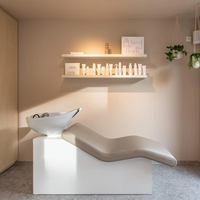Bac à Shampoing Beige pour Salon de Coiffure et Barbier