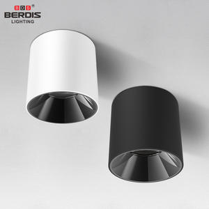 10W 15W 20W 26 WMontaje en superficie Lente COB Montaje en superficie Led Downlight Uso comercial Foco de luz de techo antideslumbrante - Product Image 3