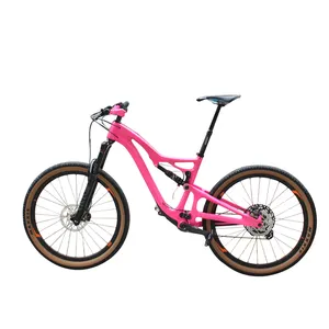 Articoli personalizzati rosa bella corsa multicolore mtb 29 mountain bike personalizzata in fibra di carbonio bici da strada biciclette per adulti mountain Bike